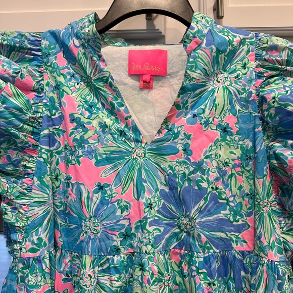 Lilly Pulitzer dress - Picture 5 of 7